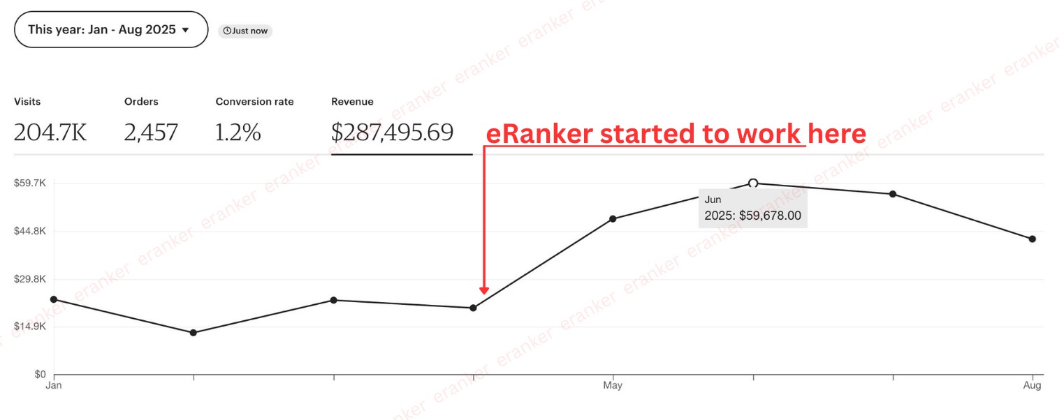 300% Traffic Increase